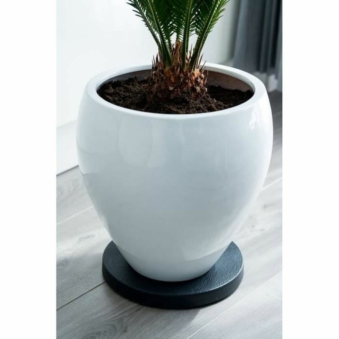 Nature Support à roulettes pour plantes Noir Ø 29,2 cm