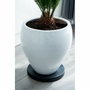 Nature Support à roulettes pour plantes Noir Ø 29,2 cm