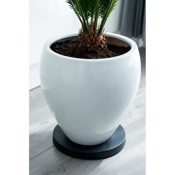 Nature Tablette à roulettes pour plantes - Support roulant en polypropylène - Hauteur 4 cm, diamètre 29.2 cm