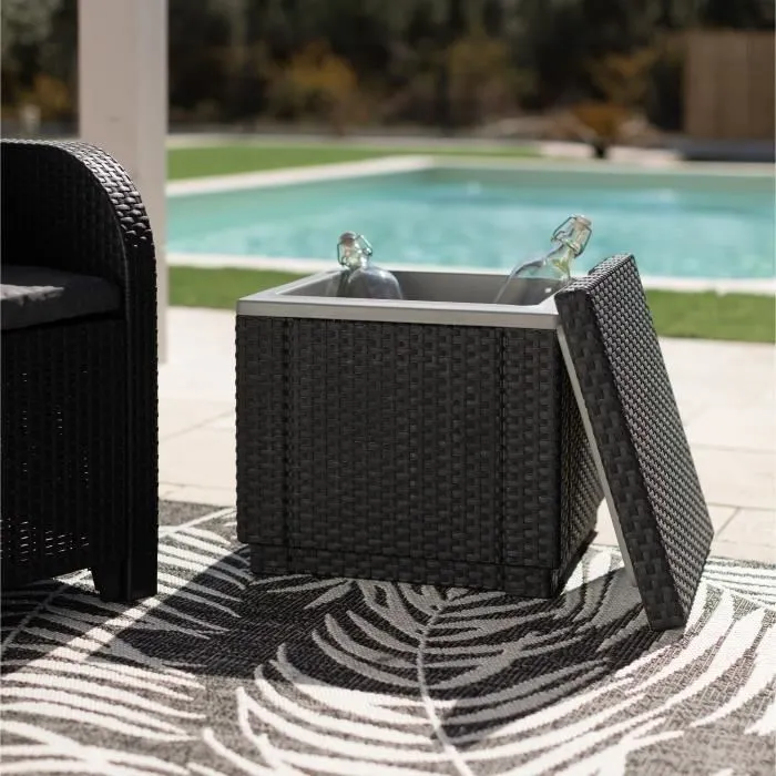 Glacière à glaçons Ice Cube Graphite 405981 Keter - Pratique et originale