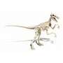 Clementoni Science & Jeu Archéo Ludic - Kit de Fouilles Vélociraptor avec Squelette Lumineux