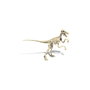 Clementoni Archéo Ludic Vélociraptor