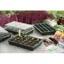 Nature Mini Serre de Culture avec 4 Terrines Plastique Souple, 2 Couvercles et 4 Plateaux 24 Alvéoles - Pour Semis et Germination - H11x35x23,5 cm