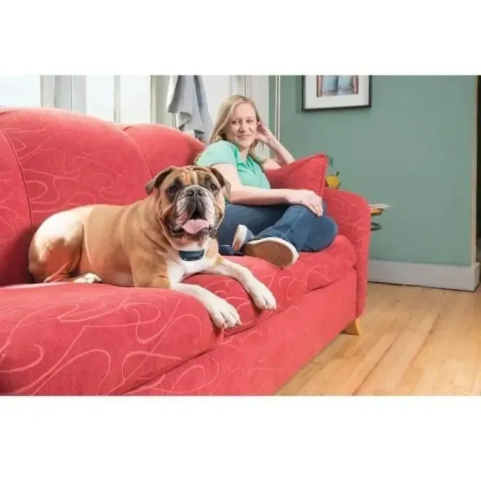 PetSafe Collier de Dressage pour 2 Chiens, Récepteurs Rechargeables, Portée 600 m, 15 Niveaux de Stimulation, Étanche