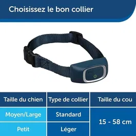 PetSafe Collier de Dressage pour 2 Chiens, Récepteurs Rechargeables, Portée 600 m, 15 Niveaux de Stimulation, Étanche