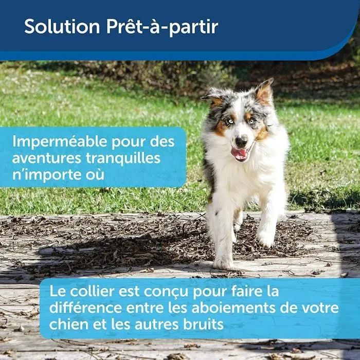 PetSafe Collier anti-aboiement pour chien avec stimulation électrostatique progressive - 6 niveaux de correction et détection vocale