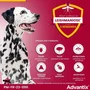 Advantix Solution Antiparasitaire Grande Race 25 à 40 kg, 6 pipettes