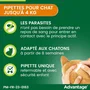 Advantage - Antipuces pour Chat et Lapin jusqu'à 4kg - Élimination rapide en 12h - Lot de 4 Pipettes - Action longue durée