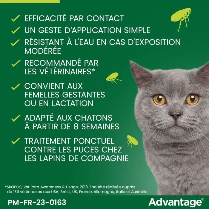 Advantage - Antipuces pour Chat et Lapin jusqu'à 4kg - Élimination rapide en 12h - Lot de 4 Pipettes - Action longue durée