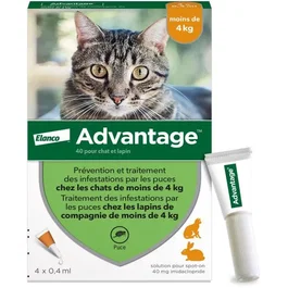 Advantage Solution Antipuce Chat et Lapin 1 à 4kg, 4 pipettes