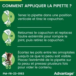 Advantage - Antipuces pour Chat et Lapin jusqu'à 4kg - Élimination rapide en 12h - Lot de 4 Pipettes - Action longue durée