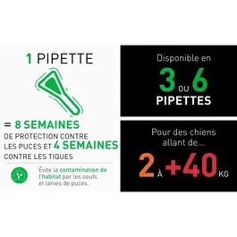 Frontline Combo Anti-Puces et Anti-Tiques pour Chien - Pipettes pour Chiens de 2 à 10 kg - Action contre les Œufs et Larves - 6 Pipettes