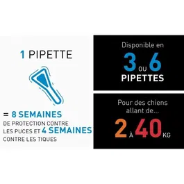 Frontline Spot On chien Anti-puces anti-tiques, 6 pipettes, pour chiens 2 à 10 kg, Médicament à base de fipronil