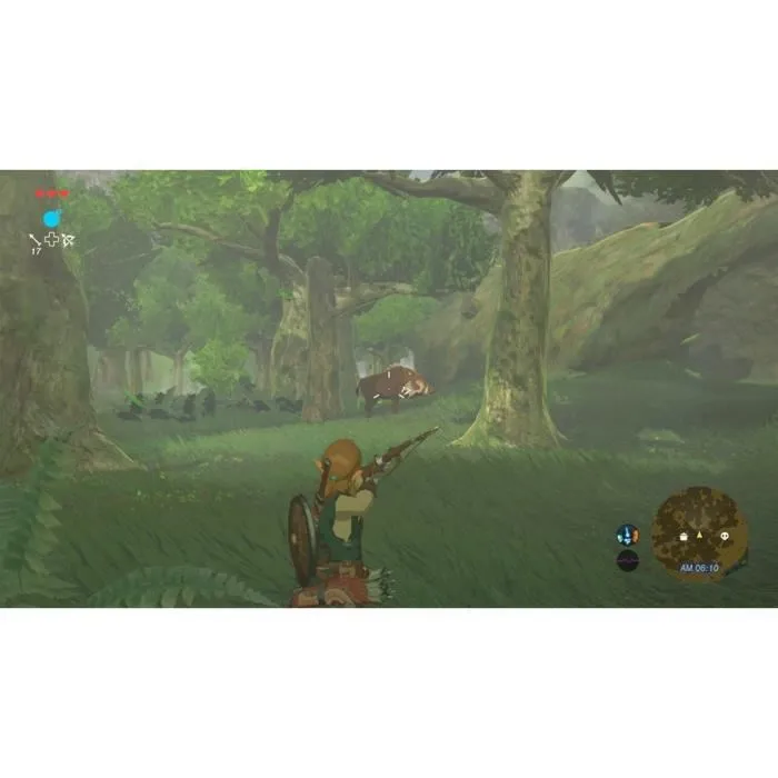 Nintendo The Legend of Zelda: Breath of the Wild - Jeu Vidéo Nintendo Switch - Version Française Nintendo The Legend of Zelda: Breath of the Wild - Jeu Vidéo Nintendo Switch - Version Française