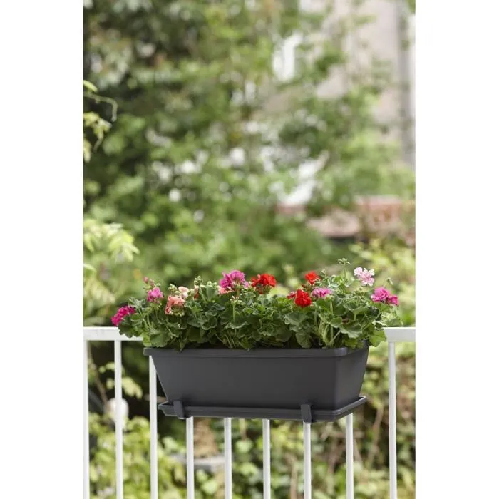 ELHO Soucoupe pour Jardinière Barcelona 45,5 x 16,7 x 3 cm Anthracite - Système de drainage - Plastique