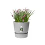 ELHO Pot de fleurs rond extérieur Greenville 25, Ø 24.48 x H 23.31 cm, gris béton vivant, plastique recyclé résistant au gel avec réserve d'eau