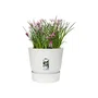 Elho Greenville Pot de fleurs rond extérieur Ø 24.48 x H 23.31 cm avec réserve d'eau intégrée, résistant au gel, plastique 100% recyclé - Blanc