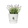 Elho Greenville Pot de fleurs rond extérieur Ø 24.48 x H 23.31 cm avec réserve d'eau intégrée, résistant au gel, plastique 100% recyclé - Blanc