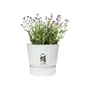 Elho Pot de Fleurs Rond Greenville 30 - Blanc - Ø 29.5 x H 27.8 cm - Extérieur - Résistant au Gel avec Réservoir d'Eau Intégré