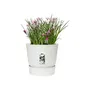 Elho Pot de fleurs Greenville Rond 40 extérieur - Ø 39 x H 36,8 cm - Blanc - Plastique recyclé résistant au gel avec réserve d'eau intégrée