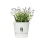 Elho Pot de fleurs Greenville Rond 40 extérieur - Ø 39 x H 36,8 cm - Blanc - Plastique recyclé résistant au gel avec réserve d'eau intégrée