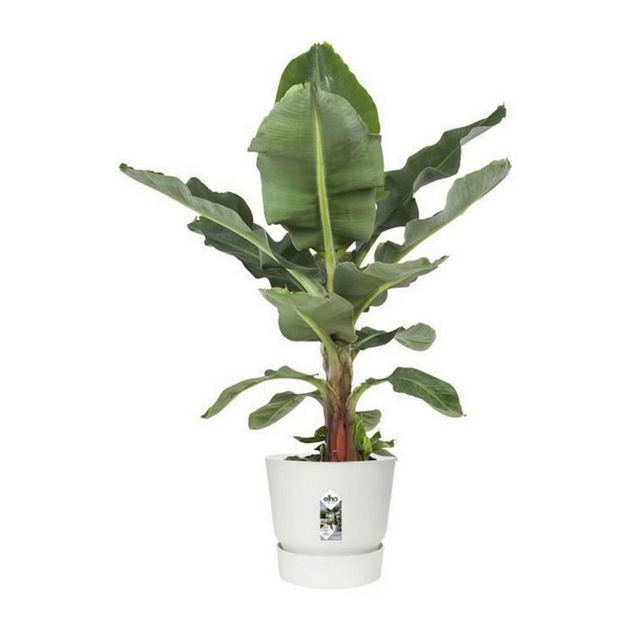 Elho Pot de fleurs Greenville 40 rond blanc