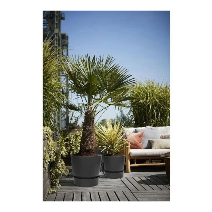 Elho Pot de fleurs Greenville Rond 40 - Vivre noir