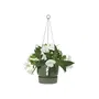 Pot de fleurs suspendu ELHO Greenville 24 - Ø 23,9 x H 20,3 cm - 6,4 L - Vert feuille - Extérieur - Résistant au gel et 100% recyclé