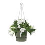 Elho Pot de fleurs à suspendre Greenville Vert feuille