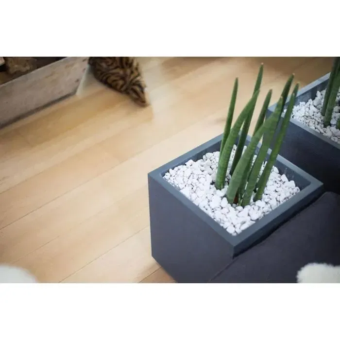 EDA Bac carré graphit 31 L, pot de fleurs 40 x 40 x 43 cm (H), gris anthracite, pour terrasse, jardin, patio