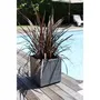 EDA Bac carré graphit 31 L, pot de fleurs 40 x 40 x 43 cm (H), gris anthracite, pour terrasse, jardin, patio
