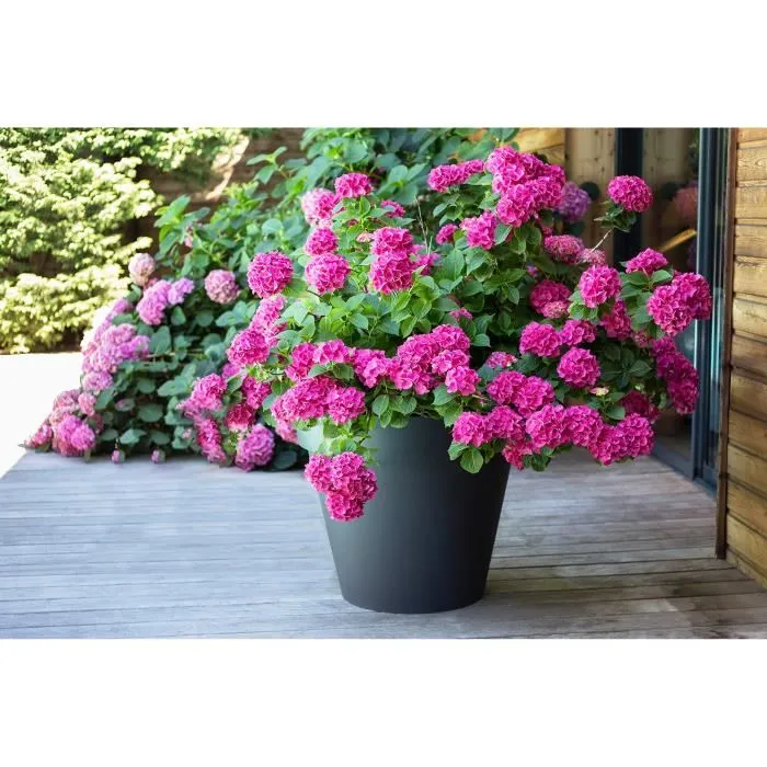 EDA PLASTIQUE Pot Toscane rond, pot de fleurs 76 L, Ø 60 x H 47 cm, gris anthracite, polypropylène résistant gel et UV