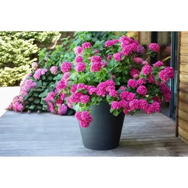 EDA PLASTIQUE Pot Toscane rond, pot de fleurs 76 L, Ø 60 x H 47 cm, gris anthracite, polypropylène résistant gel et UV