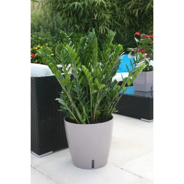 Riviera EVA NEW - Pot de fleurs rond en plastique avec réserve d'eau - Ø45 x H45 cm - 49 litres - Couleur taupe