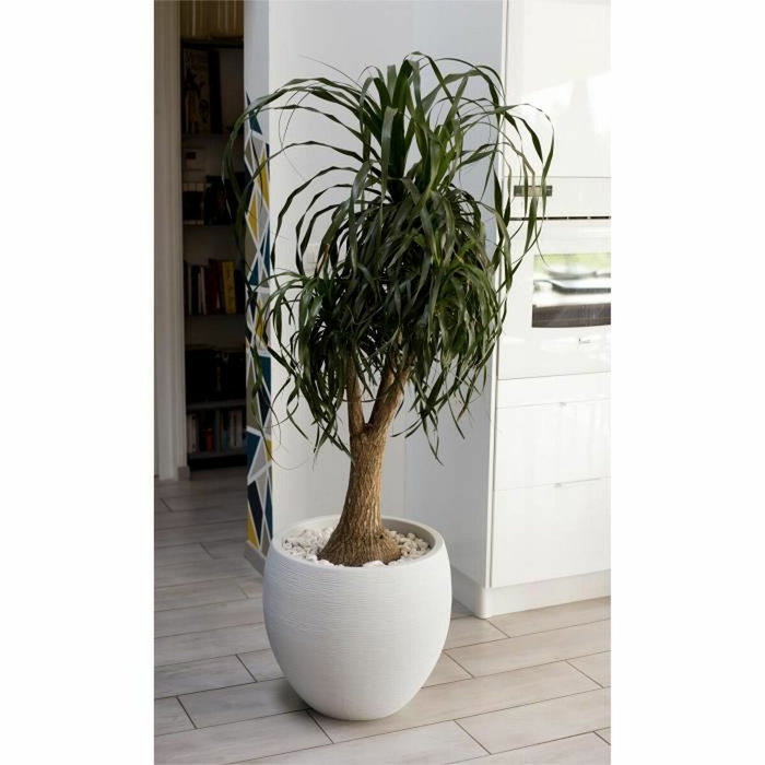 EDA Pot de fleurs Rond Egg Ø 50cm - Blanc Cérusé - 46 L