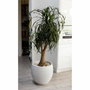 EDA Pot de fleurs Rond Egg Ø 50cm - Blanc Cérusé - 46 L