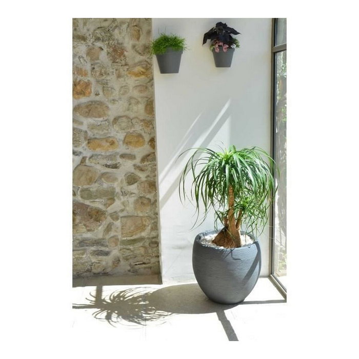 EDA Pot de fleurs Rond Egg Ø 50cm Graphit Gris Anthracite