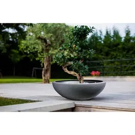 EDA Pot de Plante Graphit Up - 39 Litres - Diamètre 59 x Hauteur 21 cm - Gris Anthracite - Pour Terrasse, Jardin et Extérieur