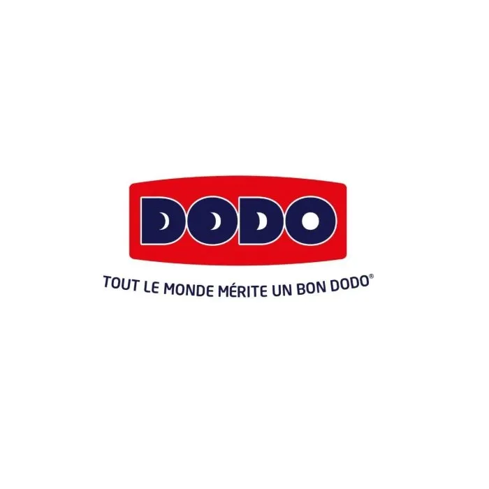 DODO Couette tempérée Belle Nuit 350 gr/m² 200 x 200 cm - Polyester creux, lavable machine 40°C DODO Couette tempérée Belle Nuit 350 gr/m² 200 x 200 cm - Polyester creux, lavable machine 40°C