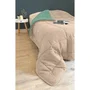 Toison D'Or CALGARY Couette Chaude Microfibre Beige Galet & Vert Lac 220 x 240 cm