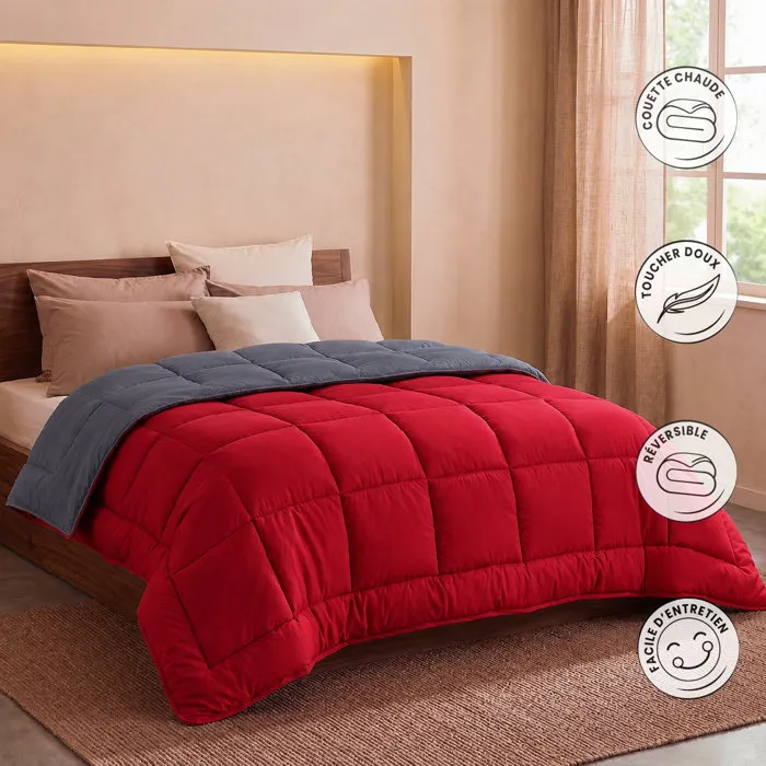 Toison D'Or Couette Légère d'Été en Microfibre, 200 g/m2, Modèle Hudson, Gris et Rouge, 140 x 200 cm, Garnissage Polyester, Enveloppe Douce Toison D'Or Couette Légère d'Été en Microfibre, 200 g/m2, Modèle Hudson, Gris et Rouge, 140 x 200 cm, Garnissage Polyester, Enveloppe Douce