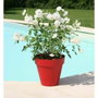 Riviera Pot de fleurs Soleilla Rond Rouge