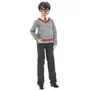Mattel Harry Potter Poupée Figurine 6 ans et + FYM50