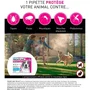 Frontline Tri-Act pour chien - Taille M - 10-20kg - 6 pipettes