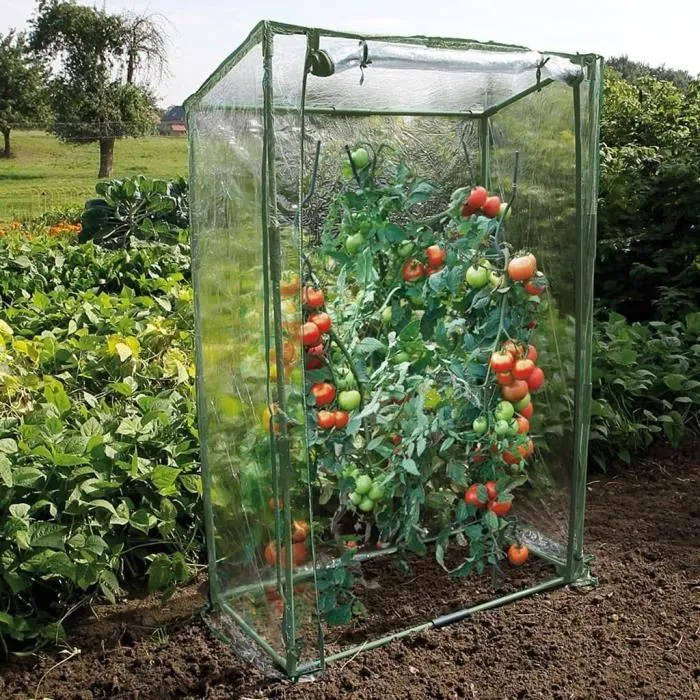 Nature Serre à tomates 100x50x150 cm - Serre de jardin en polyéthylène et métal traité anti-UV, surface 6 m², facile à monter avec porte