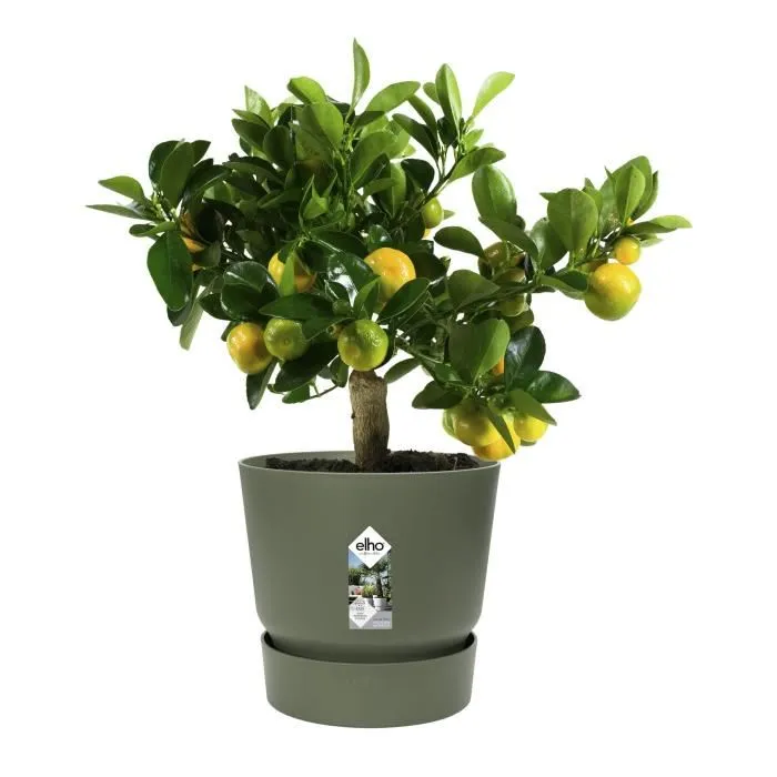 ELHO Greenville Rond 25 - Pot de fleurs d'extérieur Ø 24.48 x H 23.31 cm Vert feuille - Résistant au gel, avec réservoir d'eau intégré