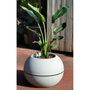 Riviera Pot de fleurs Granit Boule Stone D40 x H28 cm