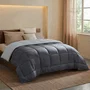 Toison D'Or - Couette Légère en Microfibre - 200 gr/m² - Gris & Argent - 140 x 200 cm - Fibres creuses siliconées - Certifiée Oeko-Tex - Traitée STOPFLAM