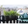 Elho Balconnière Greenville Easy Balcony 52 - Pot de fleurs rectangulaire avec réserve d'eau - Noir - 52 x 21.2 x 19.4 cm - 15 litres - Balcon