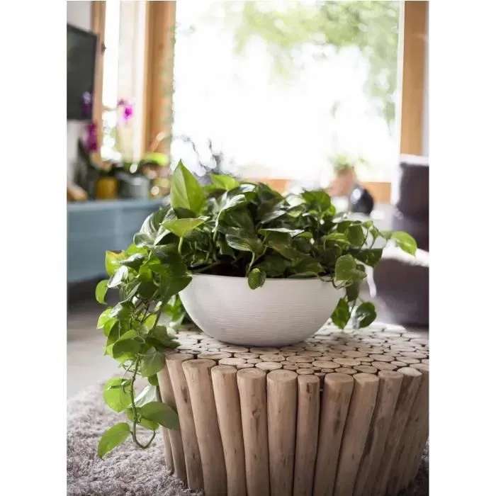 Eda Bac Graphit UP - Pot de jardin Ø 40 cm x 16.5 cm, 14.9 L - Blanc cérusé, usage intérieur et extérieur